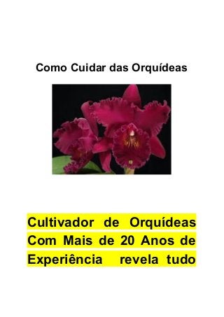  
 
Como Cuidar das Orquídeas 
 
 
 
 
Cultivador de Orquídeas     
Com Mais de 20 Anos de           
Experiência revela tudo     
 