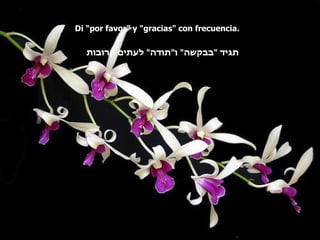 Di “por favor” y "gracias" con frecuencia.  תגיד  " בבקשה "  ו " תודה "  לעתים קרובות 