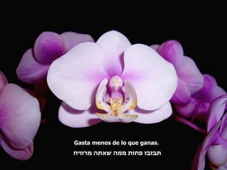 Gasta menos de lo que ganas.  תבזבז פחות ממה שאתה מרוויח 