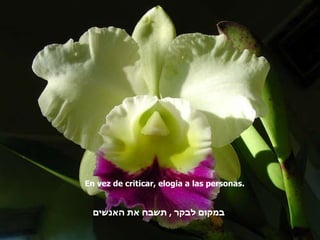 En vez de criticar, elogia a las personas. במקום לבקר  ,  תשבח את האנשים 