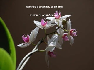 Aprende a escuchar, es un arte. תלמד לשמוע ,  זה אומנות 