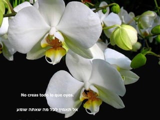 No creas todo lo que oyes. אל תאמין לכל מה שאתה שומע 