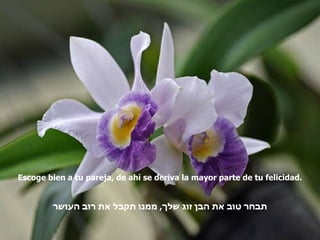 Escoge bien a tu pareja, de ahí se deriva la mayor parte de tu felicidad. תבחר טוב את הבן זוג שלך ,  ממנו תקבל את רוב העושר 