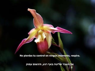 No pierdas tu control en ningún momento, respira. אל תאבד שליטה באף רגע ,  תינשום עמוק 