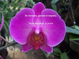 Se honesto, gánate el respeto. תיהיה כן ,  תרוויח את הכבוד 