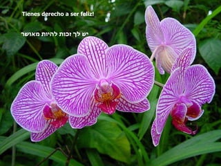 Tienes derecho a ser feliz! יש לך זכות להיות מאושר   