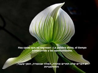 Hay cosas que no regresan : La palabra dicha, el tiempo transcurrido y las oportunidades. יש דברים שלא חוזרים אחורה ,  המלה שנאמרה ,  הזמן שעבר ,  וההזדמנויות   