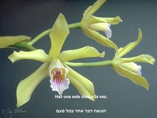 Haz una sola cosa a la vez. תעשה דבר אחד בכל פעם 