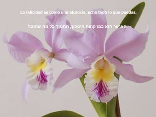 La felicidad es como una alcancía, echa todo lo que puedas. האושר הוא כמו קופת חיסכון ,  תחסוך כל מה שתוכל 