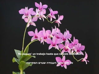 No pagues' un trabajo hasta que no esté concluido. אל תשלם על העבודה שטרם הסתיימה   