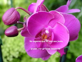 No esperes que la vida sea justa. אל תצפה שהחיים יהיו הוגנים   