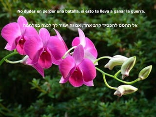 No dudes en perder una batalla, si esto te lleva a ganar la guerra. אל תהסס להפסיד קרב אחד ,  אם זה יעזור לך לנצח במלחמה   