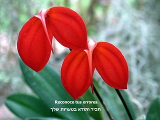 Reconoce tus errores. תכיר ותודא בטעויות שלך   