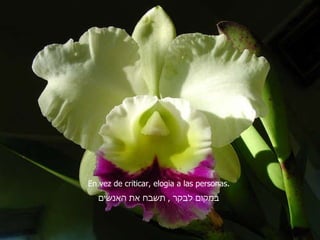 En vez de criticar, elogia a las personas. במקום לבקר  ,  תשבח את האנשים 