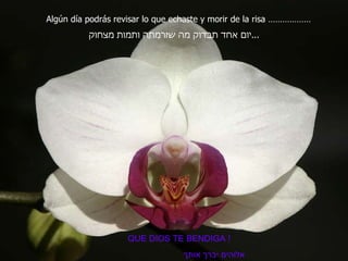 Algún día podrás revisar lo que echaste y morir de la risa ……………… יום אחד תבדוק מה שזרמתה ותמות מצחוק ... QUE DIOS TE BENDIGA ! אלוהים יברך אותך 