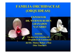 FAMILIA ORCHIDACEAEFAMILIA ORCHIDACEAE
(ORQUIDEAS)(ORQUIDEAS)
EXPOSITOREXPOSITOR
DR. WERNER RUBENDR. WERNER RUBEN
GRANADOSGRANADOS
NAVARRONAVARRO
FOTOSFOTOS
La mayoría tomadas deLa mayoría tomadas de
Orquídeas de GuatemalaOrquídeas de Guatemala
del Dr.del Dr. MoisesMoises BeharBehar y Dony Don
OttoOtto TinschertTinschert
 