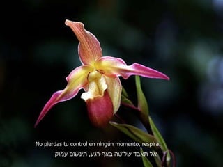 No pierdas tu control en ningún momento, respira. אל תאבד שליטה באף רגע ,  תינשום עמוק 