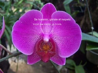 Se honesto, gánate el respeto. תיהיה כן ,  תרוויח את הכבוד 