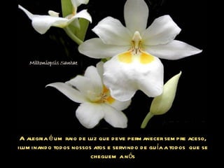 A alegria é um raio de luz que deve permanecer sempre aceso, iluminando todos nossos atos e servindo de guía a todos  que se cheguem a nós 