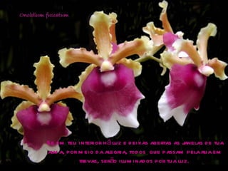 Se em teu interior há luz e deixas abertas as janelas de tua alma, por meio da alegria, todos  que passam pela rua em trevas, serão iluminados por tua luz.  