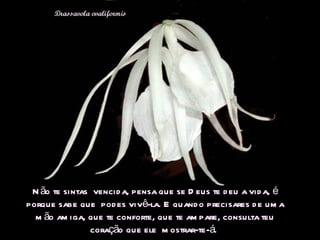 Não te sintas  vencida, pensa que se Deus te deu a vida, é porque sabe que  podes vivê-la. E quando precisares de uma mão amiga, que te conforte, que te ampare, consulta teu coração que ele  mostrar-te-á.  