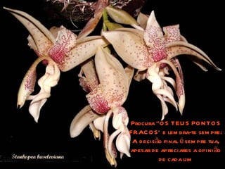 Procura “OS TEUS PONTOS FRACOS’ e lembra-te sempre: A decisão final é sempre tua, apesar de apreciares a opinião de cada um 