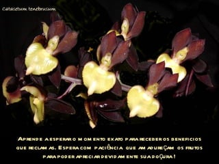 Aprende a esperar o momento exato para receber os beneficios que reclamas. Espera com paciência  que amadureçam os frutos para poder apreciar devidamente sua doçura ! 