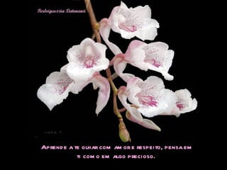 Aprende a te olhar com amor e respeito, pensa em ti como em algo precioso.  