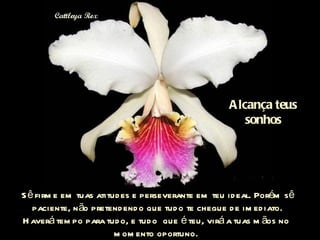 Sê firme em tuas atitudes e perseverante em teu ideal. Porém sê paciente, não pretendendo que tudo te chegue de imediato. Haverá tempo para tudo, e tudo  que é teu, virá a tuas mãos no  momento oportuno.  Alcança teus sonhos 