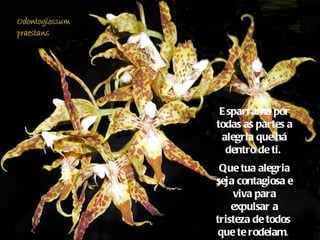 Esparrama por todas as partes a alegria que há dentro de ti.  Que tua alegria seja contagiosa e viva para expulsar a tristeza de todos  que te rodeiam .   