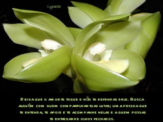 Deixa que o amor te toque e não te defendas dele. Busca  alguém com quem compartilhar tuas lutas; uma pessoa que te entenda, te apoie e te acompanhe nelas e a quem possas te entregar de olhos fechados.  