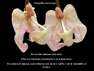 No existen trabajos humildes.  Sólo se distinguen por ser bien o mal realizados.  Da valor a tu trabajo, cumpliéndolo con amor y cariño y así te valorarás a ti mismo.  