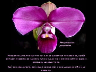 Pongamos la vida en ello y si nos damos cuenta que no podemos, quizás entonces necesitemos hacer un alto en el camino y experimentar un cambio radical en nuestras vidas.  Así, con otro aspecto, con otras posibilidades y con la gracia de Dios, lo haremos.  