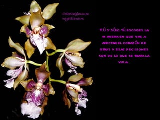 Tú y sólo tú escoges la manera en que vas a afectar el corazón de otros y esas decisiones son de lo que se trata la vida.  