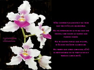 Sólo contempla la meta y no veas que tan difícil es alcanzarla.  No te detengas en lo malo que has hecho; camina en lo bueno que puedes hacer.  No te culpes por lo que hiciste, más bien decídete a cambiar.  No trates que otros cambien; sé tú el responsable de tu propia vida y trata de cambiar tú.  