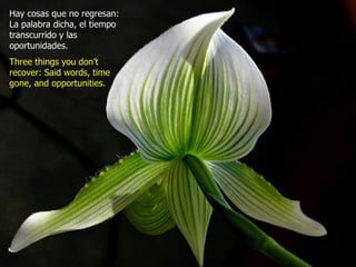 Hay cosas que no regresan:
La palabra dicha, el tiempo
transcurrido y las
oportunidades.
Three things you don’t
recover: Said words, time
gone, and opportunities.
 