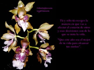 Tú y sólo tú escoges la manera en que vas a afectar el corazón de otros y esas decisiones son de lo que se trata la vida.  "Que este año sea el mejor de tu vida para alcanzar tus sueños".  