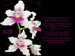 Sólo contempla la meta y no veas que tan difícil es alcanzarla.  No te detengas en lo malo que has hecho; camina en lo bueno que puedes hacer.  No te culpes por lo que hiciste, más bien decídete a cambiar.  No trates que otros cambien; sé tú el responsable de tu propia vida y trata de cambiar tú.  
