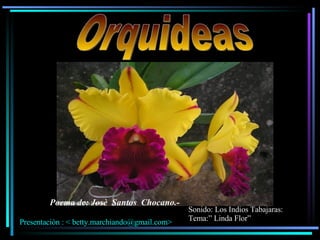 Orquideas Poema de: Josè  Santos  Chocano.- Presentaciòn : < betty.marchiando@gmail.com> Sonido: Los Indios Tabajaras: Tema:” Linda Flor” 