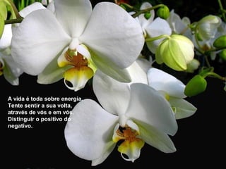 A vida é toda sobre energia.
Tente sentir a sua volta,
através de vós e em vós.
Distinguir o positivo do
negativo.
 