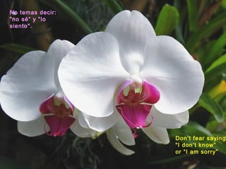 No temas decir:
"no sé“ y "lo
siento".

Don’t fear saying
“I don’t know”
or “I am sorry”

 