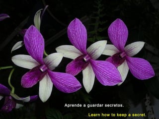 Aprende a guardar secretos.
Learn how to keep a secret.

 