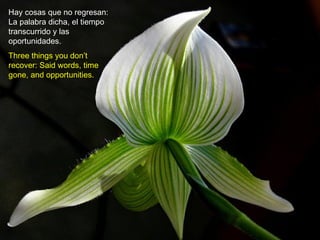 Hay cosas que no regresan:
La palabra dicha, el tiempo
transcurrido y las
oportunidades.
Three things you don’t
recover: Said words, time
gone, and opportunities.

 