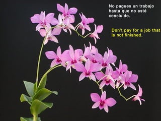No pagues un trabajo
hasta que no esté
concluido.
Don’t pay for a job that
is not finished.

 