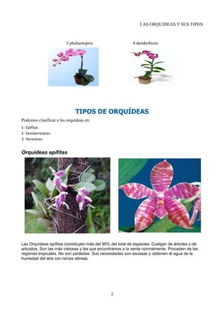 LAS ORQUIDEAS Y SUS TIPOS
3 phalaenopsis 4 dendrobium
TIPOS DE ORQUÍDEAS
Podemos clasificar a las orquídeas en:
1- Epífitas
2- Semiterrestres
3- Terrestres
Orquídeas epífitas
Las Orquídeas epífitas constituyen más del 90% del total de especies. Cuelgan de árboles o de
arbustos. Son las más vistosas y las que encontramos a la venta normalmente. Proceden de las
regiones tropicales. No son parásitas. Sus necesidades son escasas y obtienen el agua de la
humedad del aire con raíces aéreas.
2
 