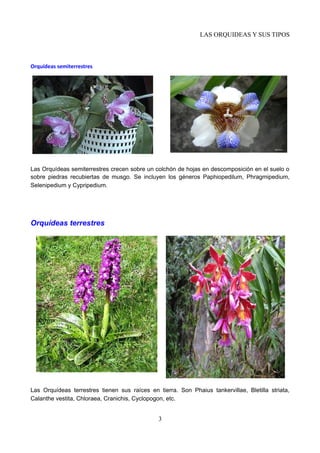 LAS ORQUIDEAS Y SUS TIPOS
Orquídeas semiterrestres
Las Orquídeas semiterrestres crecen sobre un colchón de hojas en descomposición en el suelo o
sobre piedras recubiertas de musgo. Se incluyen los géneros Paphiopedilum, Phragmipedium,
Selenipedium y Cypripedium.
Orquídeas terrestres
Las Orquídeas terrestres tienen sus raíces en tierra. Son Phaius tankervillae, Bletilla striata,
Calanthe vestita, Chloraea, Cranichis, Cyclopogon, etc.
3
 