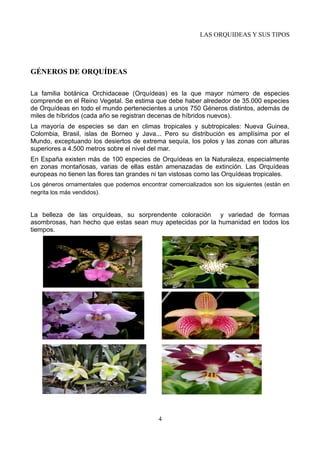 LAS ORQUIDEAS Y SUS TIPOS
GÉNEROS DE ORQUÍDEAS
La familia botánica Orchidaceae (Orquídeas) es la que mayor número de especies
comprende en el Reino Vegetal. Se estima que debe haber alrededor de 35.000 especies
de Orquídeas en todo el mundo pertenecientes a unos 750 Géneros distintos, además de
miles de híbridos (cada año se registran decenas de híbridos nuevos).
La mayoría de especies se dan en climas tropicales y subtropicales: Nueva Guinea,
Colombia, Brasil, islas de Borneo y Java... Pero su distribución es amplísima por el
Mundo, exceptuando los desiertos de extrema sequía, los polos y las zonas con alturas
superiores a 4.500 metros sobre el nivel del mar.
En España existen más de 100 especies de Orquídeas en la Naturaleza, especialmente
en zonas montañosas, varias de ellas están amenazadas de extinción. Las Orquídeas
europeas no tienen las flores tan grandes ni tan vistosas como las Orquídeas tropicales.
Los géneros ornamentales que podemos encontrar comercializados son los siguientes (están en
negrita los más vendidos).
La belleza de las orquídeas, su sorprendente coloración y variedad de formas
asombrosas, han hecho que estas sean muy apetecidas por la humanidad en todos los
tiempos.
4
 