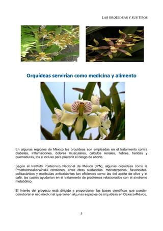 LAS ORQUIDEAS Y SUS TIPOS
Orquídeas servirían como medicina y alimento
En algunas regiones de México las orquídeas son empleadas en el tratamiento contra
diabetes, inflamaciones, dolores musculares, cálculos renales, fiebres, heridas y
quemaduras, tos e incluso para prevenir el riesgo de aborto.
Según el Instituto Politécnico Nacional de México (IPN), algunas orquídeas como la
Prosthecheakarwinskii contienen, entre otras sustancias, monoterpenos, flavonoides,
polisacáridos y moléculas antioxidantes tan eficientes como las del aceite de oliva y el
café, las cuales ayudarían en el tratamiento de problemas relacionados con el síndrome
metabólico.
El interés del proyecto está dirigido a proporcionar las bases científicas que puedan
corroborar el uso medicinal que tienen algunas especies de orquídeas en Oaxaca-México.
5
 