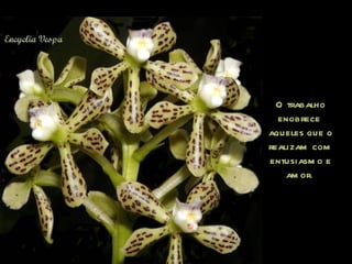 O trabalho enobrece  aqueles que o realizam com entusiasmo e amor .  