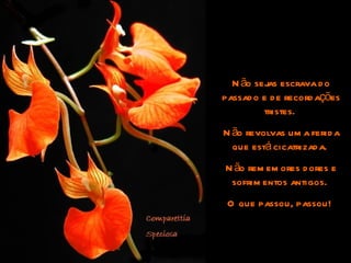 Não sejas escrava do passado e de recordações tristes.  Não revolvas uma ferida que está cicatrizada.  Não rememores dores e sofrimentos antigos.  O que passou, passou!  